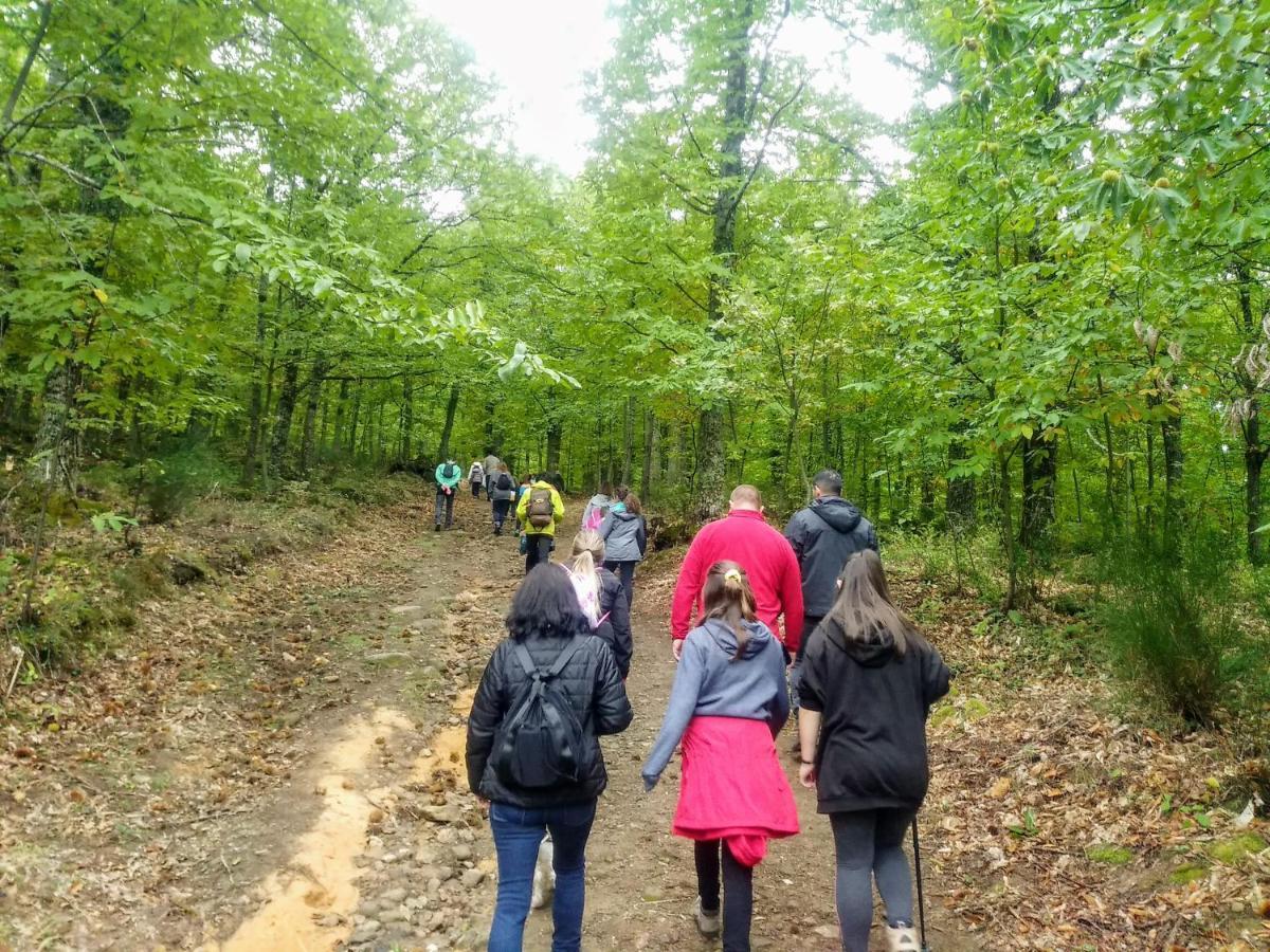 Complejo Turistico Las Canadas Casas De Campo- Actividades Gratuitas Todos Los Fines De Semana バーニョス・デ・モンテマヨール エクステリア 写真